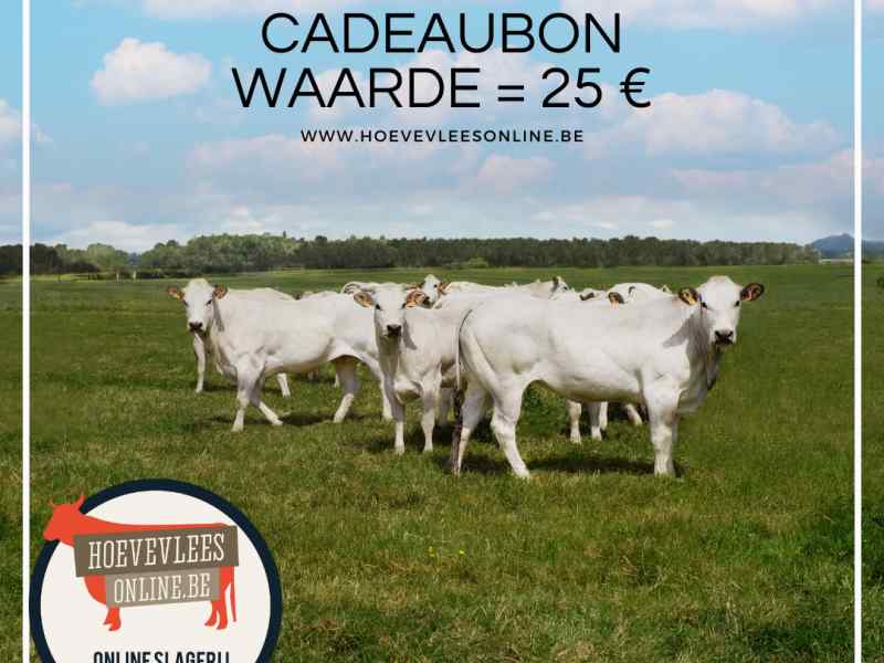  Cadeaubon 25&euro;