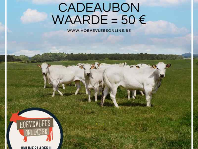 Cadeaubon 50 &euro;